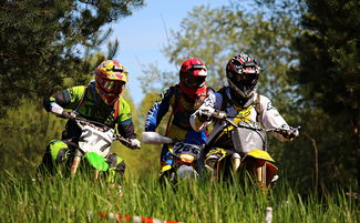 九游官网入口活动-印度队未来发展:从本土赛事到世界级竞技平台的蜕变,印度参赛人员 第3张